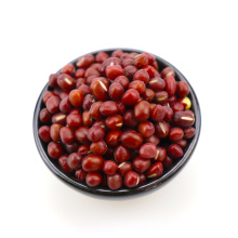 Red small bean adzuki bean new crop natural color
